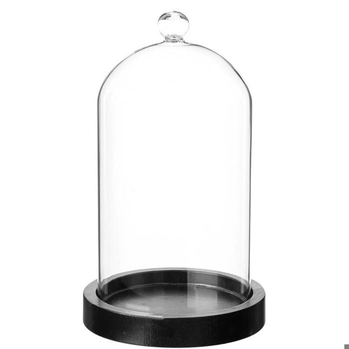 cloche en verre 19 cm sur socle achat vente cloche decorative cdiscount