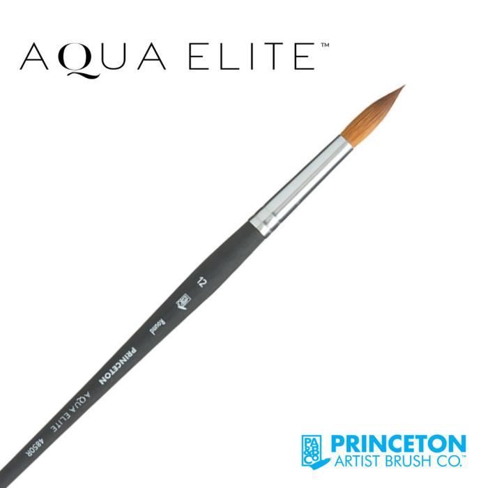 Pinceau Aqua Elite Rond synthétique série P4850 Princeton - nb:1