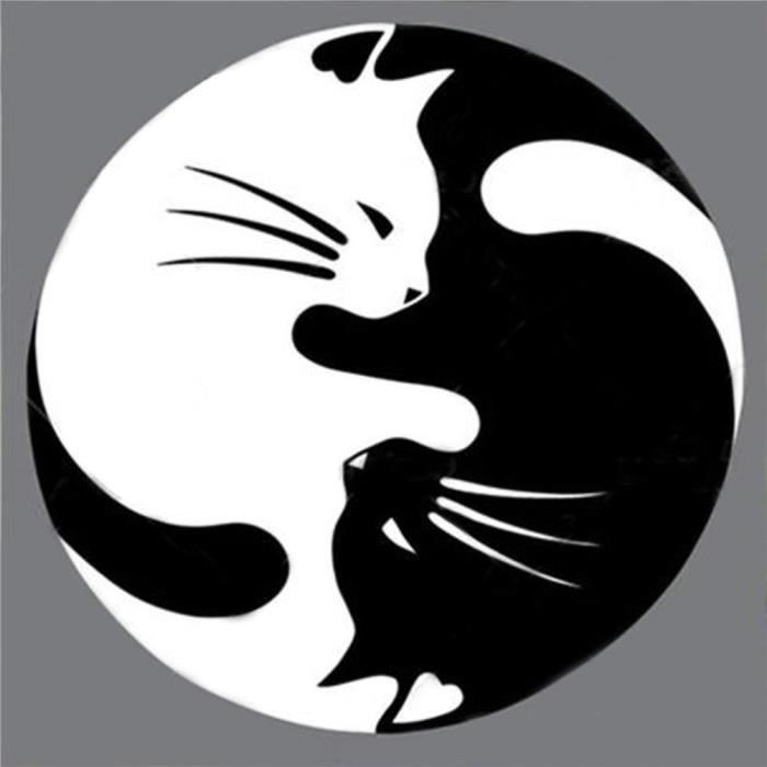 Diamant Peinture Kits Complet Noir Et Blanc Chats 5d Diy Broderie Strass Collez Le Croix Pour Home Decoration Murale Art M1975 Cdiscount Maison