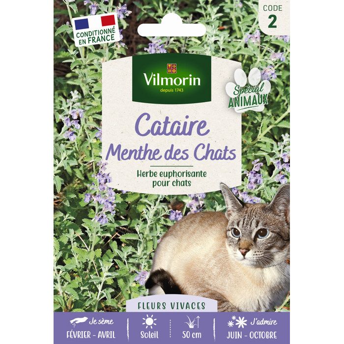 Comparer les prix de Vilmorin - Cataire Menthe Chats Gm Vl 2