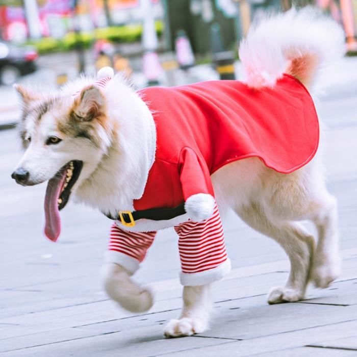 Manteau gros chien shop