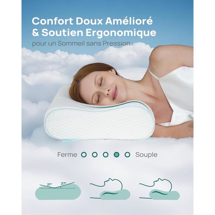 Lot De Coussins Ergonomique à Mémoire De Forme – Power Of Nature – Neufs