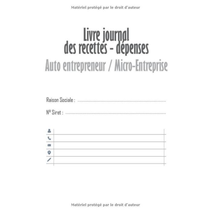 1300 Journal Recettes - Dépenses: Registre auto entrepreneur