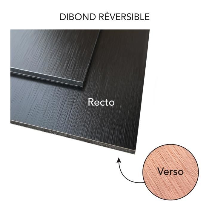 Numéro De Maison Haut De Gamme Argenté Brossé | Personnalisable | Composite D'aluminium | UV Direct Duck | Résistant Aux Intempéries | Numéro D'article : H1010