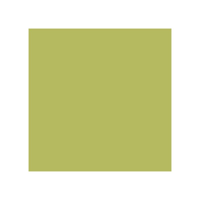 Peinture Absinthe Satin R 0,000000 Vert - Cdiscount Bricolage
