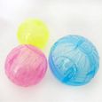 Boule de Hamster en plastique Transparent, de couleur aléatoire, en sécurité, robuste, jouet pour peti 1PCS Random Color -UO2892-2