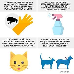 Antiparasitaires Frontline Chat Achat Vente Antiparasitaires Frontline Chat Pas Cher Cdiscount Antiparasitaires Frontline Chat Achat Vente Antiparasitaires Frontline Chat Pas Cher Cdiscount