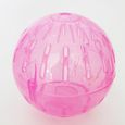Boule de Hamster en plastique Transparent, de couleur aléatoire, en sécurité, robuste, jouet pour peti 1PCS Random Color -UO2892-3