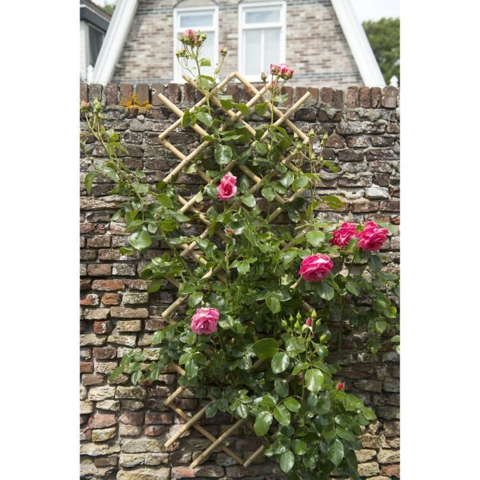 Treillis Extensible En Bambou Verdemax 5280 – Grandes Cannes, Naturel, 1,8 X 0,6 M