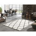 Tapis grand