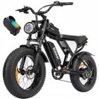 Vélo Électrique - RIDSTAR - Q20 - Moteur 1000W - Batterie Amovible 15Ah - Autonomie 90 km