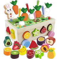 Montessori Jouets Bois Bébé, Jeu Magnétique Éducatif Sensoriel 7 en 1 Enfant Garçon Fille 1 2 3 4 5 Ans, Jouets à Empiler et de Tri