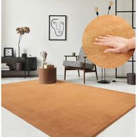 Tapis pour le salon ou de chambre en - terracotta - 240x340cm | Rectangulaire | Lavable jusqu'à 30 degrés | LOFT de The Carpet