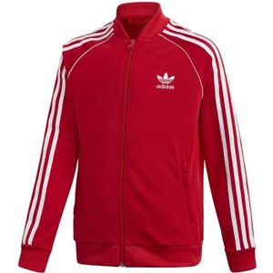 Adidas sst - Cdiscount