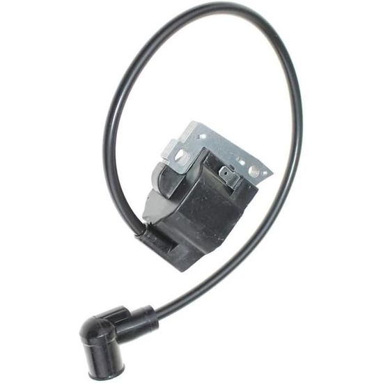 Bobine D'Allumage (Module Magteno) Pour Souffleur à Feuilles Echo EB650 - Pièce De Remplacement