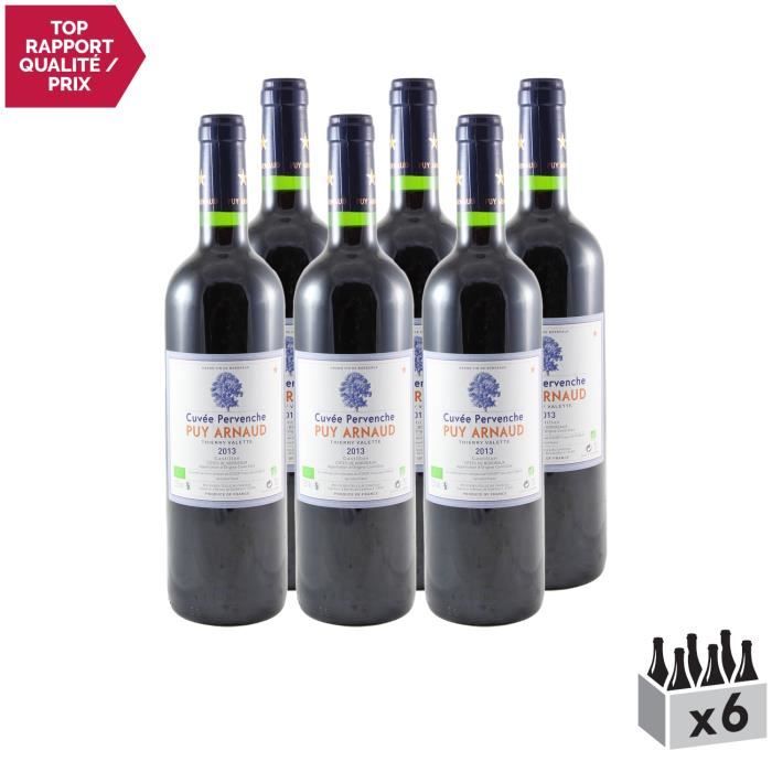 Clos Puy Arnaud Rouge 2013 - Lot de 6x75cl - Appellation AOC Côtes de Bordeaux Castillon - Vin Rouge de Bordeaux - Cépages Cabernet