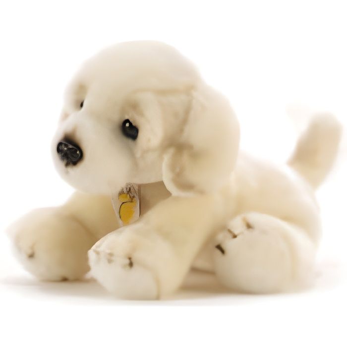Chien Golden retriever 30 cm