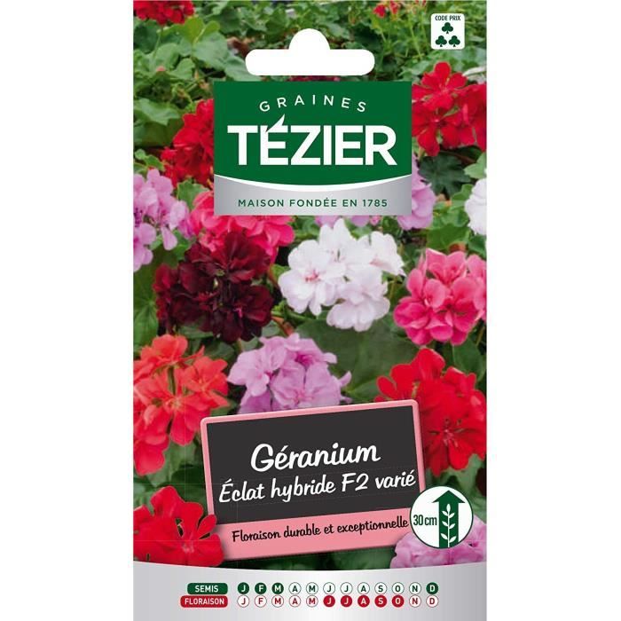 Sachet Graines - Tezier - Géranium Eclat hybride F2 varié -- Fleurs annuelles - Sachet Fleurs - Fleurs annuelles à utiliser sur