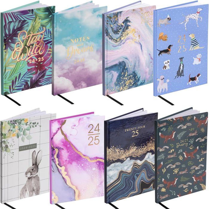 Agenda Journalier: Grand Format A4 XXL 01 Jour Sur 02 Pages