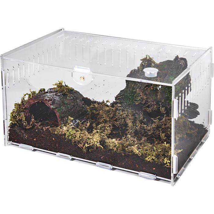 Terrarium Rectangulaire - 1 Unité - Acrylique Transparent - Habitat pour Reptiles et Plantes - Bureau et Maison - MICRODERMABRASION