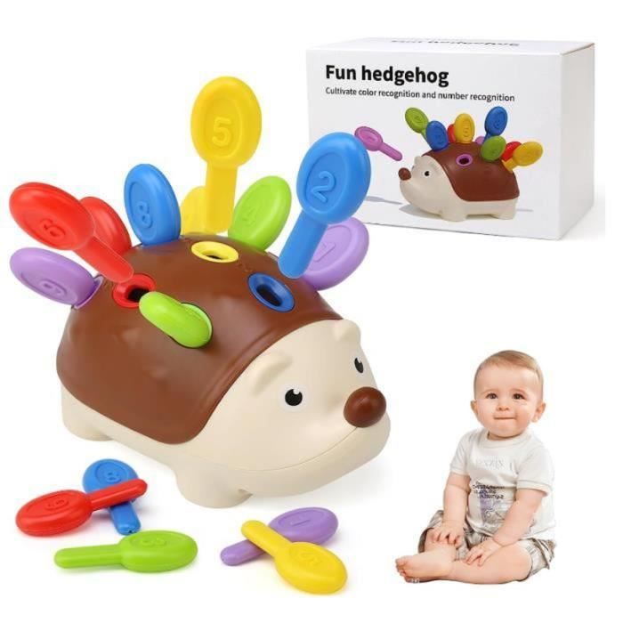 18 Mois, Hérisson Jouet de Tri, Jouet Sensoriel Motricité Fine Bebe Jeux  Éducatif pour Apprendre à Compter et Les Couleurs - Cdiscount Jeux - Jouets