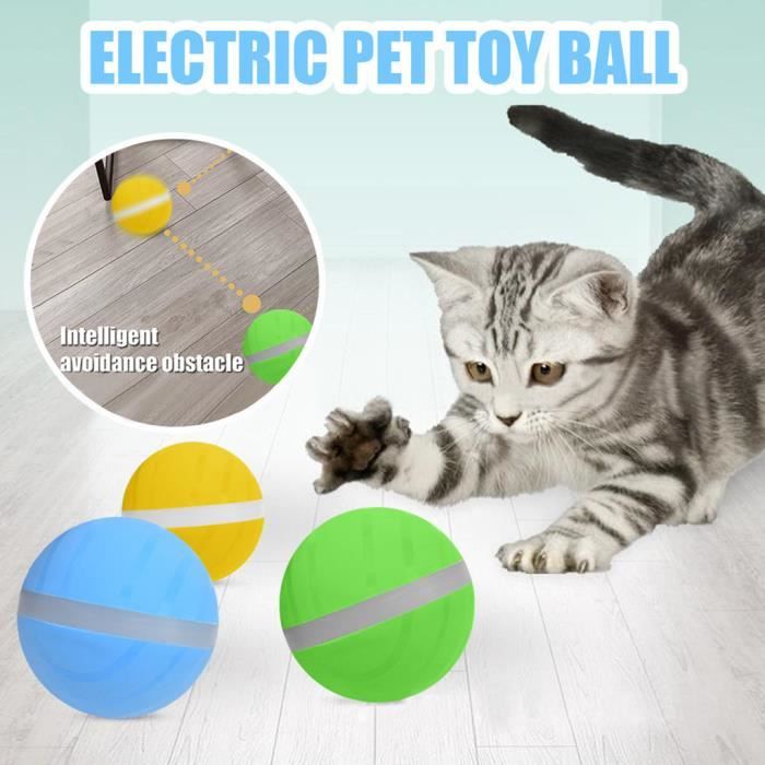 Wicked ball chien clearance