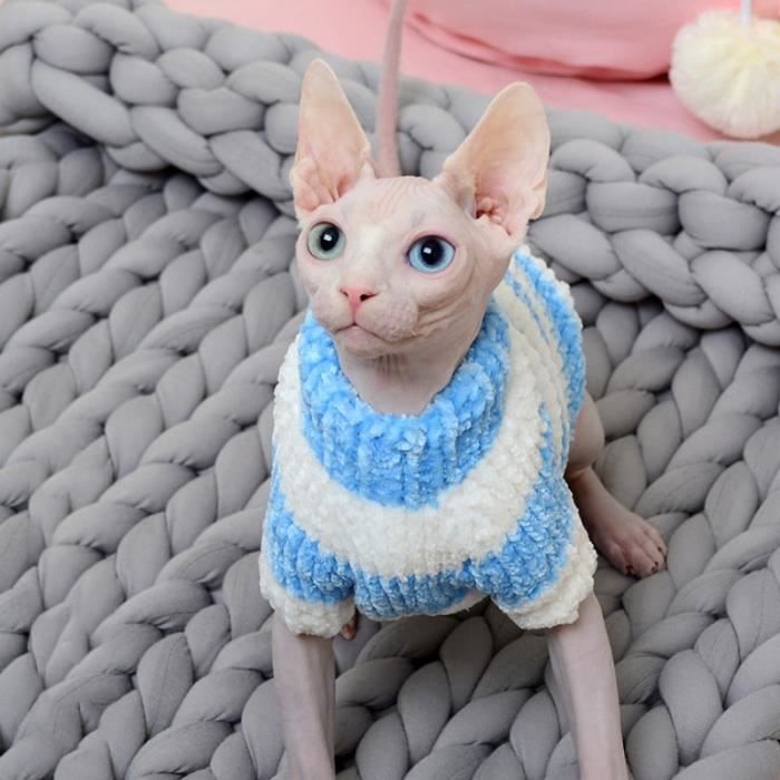 Pull chat sphynx 2025