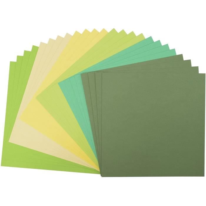 Carehabi Papier Couleur A4, 20 Couleurs Papier Cartonné 180 g/m², 80  Feuilles de Papier Coloré pour Imprimante, Faire des Bricolages, Cartes,  Fleurs