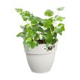 Pot de fleurs ELHO Vibia Campana Easy Hanger Small - Blanc Soie - Balcon extérieur - L 24.1 x W 20.5 x H 26.5 cm-2