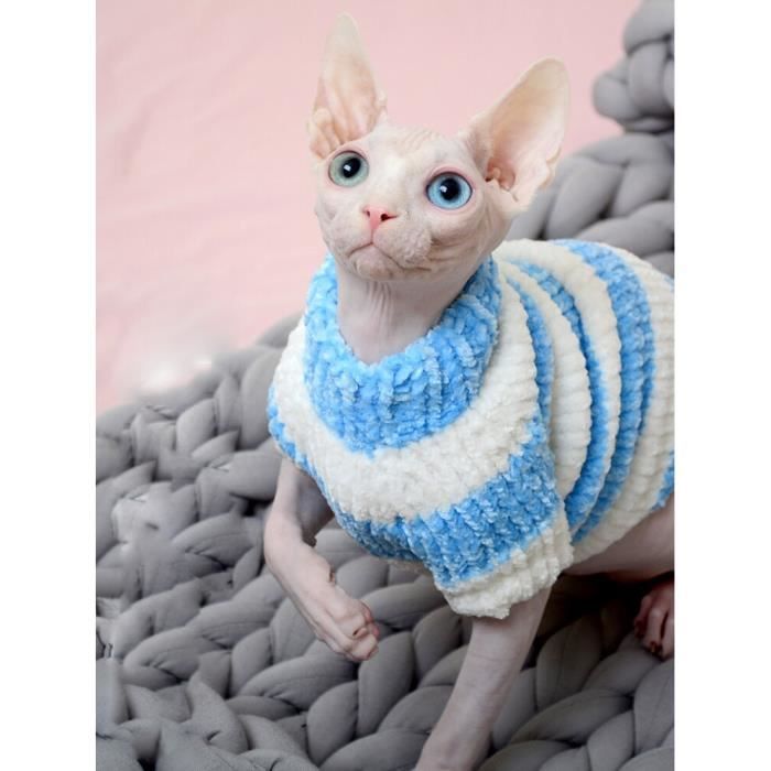 Pull discount pour sphynx