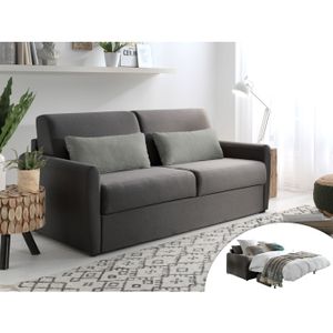 Canape Convertible Couchage Quotidien Achat Vente Pas Cher
