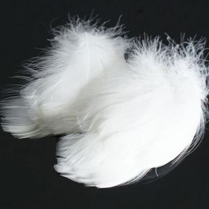 Gros lot de 500 plumes blanche