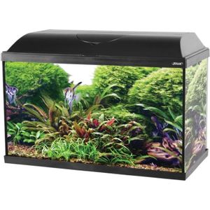Lot Plantes spécial POISSON ROUGE 50L aquarium eau froide + 10 tiges  gratuites