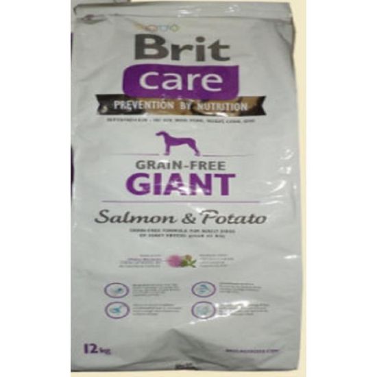 Brit Care Gf Giant Salmon Potato Saumon Pommes De Terre Pour Chien 12kg Achat Vente Croquettes Brit Care Gf Giant Salmon Cdiscount
