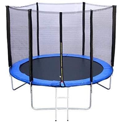 BDW Trampoline de jardin 312 cm avec filet de sécurité et échelle d'entrée PRO39