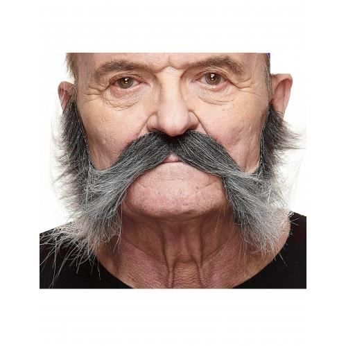 Moustache avec pattes grisonnante homme
