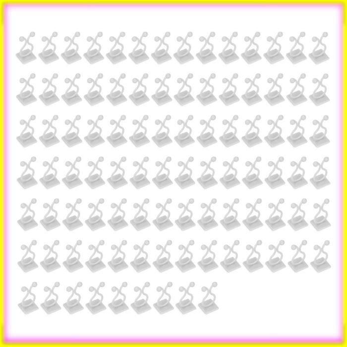keenso Fixation murale pour plantes grimpantes 100 PCS Plante Escalade Mur Fixation Mur Vignes Clip De jardin outils