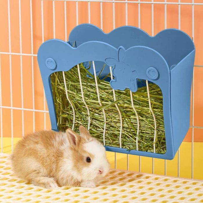 Mangeoire Lapin Râtelier à Foin Suspendu pour Petits Animaux Lapins Lapins Nains Cochons dInde (Bleu)