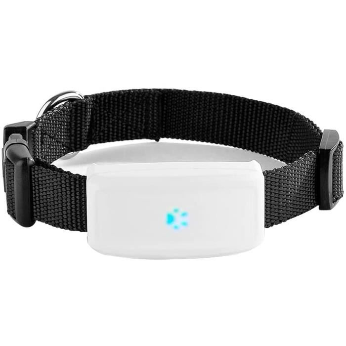 Traceur GPS Chiens Chats sans Abonnement avec Application Gratuite Collier GPS pour Chien Chat