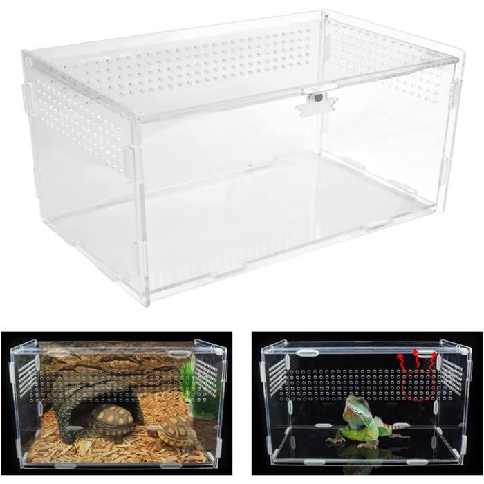 Boîte à Spécimens D'Insectes - Terrarium Vitrine Rustique Avec Couvercle Transparent