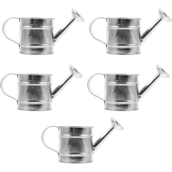 Lot De 5 Mini Arrosoirs Pour Enfants - Pour Plantes D'Intérieur Et D Lot De 5 Mini Arrosoirs Pour Enfants - Pour Plantes D'Intérieur Et D