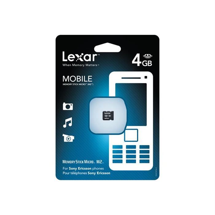 Lexar 4 Go Carte mémoire SD LSD4GBABEU