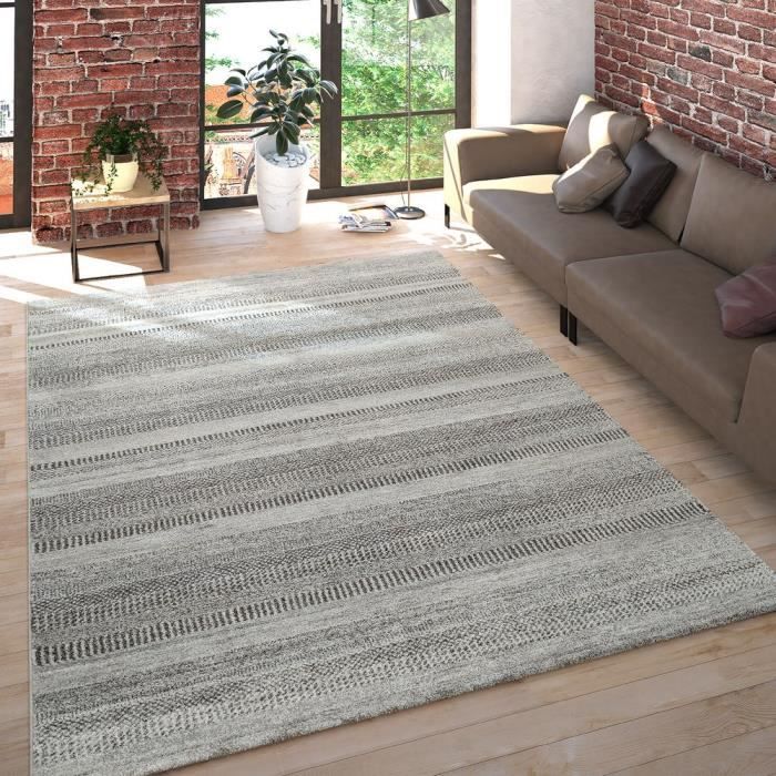 Salon Tapis Poils Ras Chine Design Multicolore Raye Gris Clair 120x170 Cm Achat Vente Tapis Cdiscount