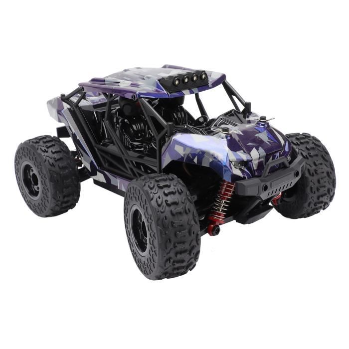 Voiture RC Tout-terrain Amphibie Q156 1/16 - 2,4 GHz, 4x4, Rotation 360°, étanche, Batterie Incluse - Toucan RC