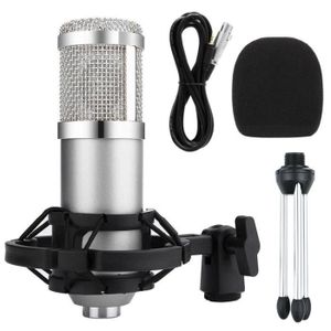 MICROPHONE kits gris argent 1 - Kit de microphone karaoké de 
