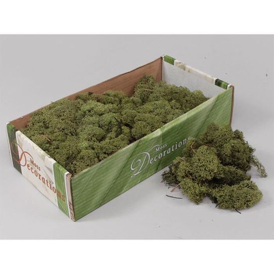 MIJOMA Engelshaar Flitter - Fibres Décoratives Brillantes - Pour