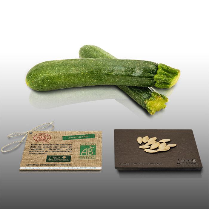 Lot 900 Semi Di Piante Aromatiche - Le Grenier D'Abondance - Le Officinali - 10 Bustine Individuali Per Orto E Giardino - 2