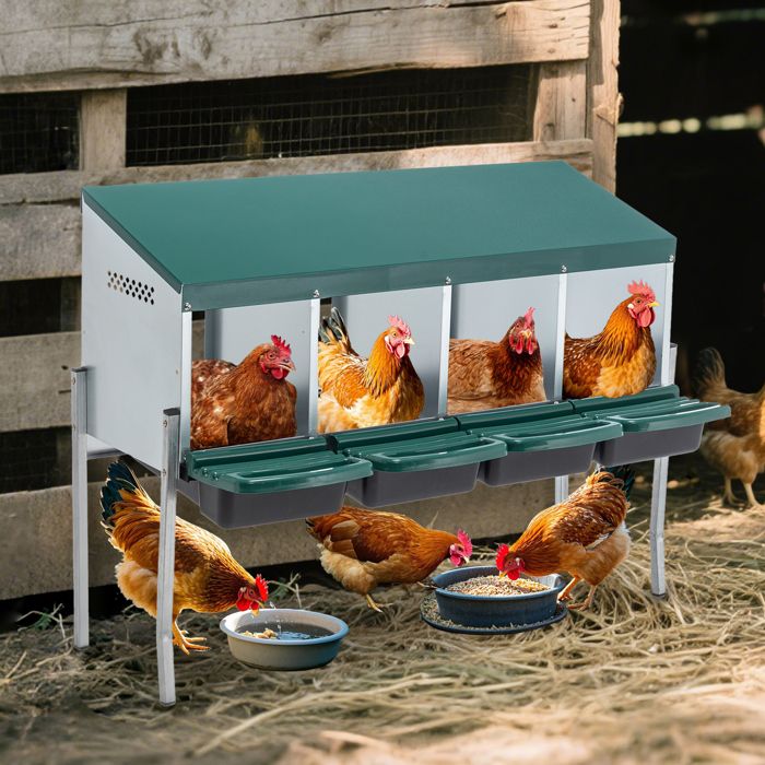 Pondoir poules 4 nids sur pieds pondoir métal galvanisé extérieur vert collecteur d’œufs