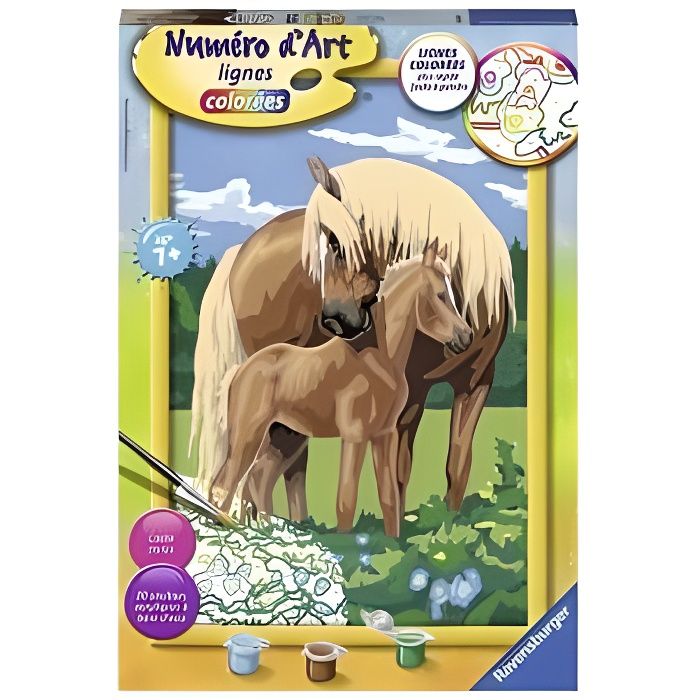 Numero d Art 7 ans Cheval et poulain 20 couleurs Grand format 21x31cm Peinture Chevaux Loisir creatif Cdiscount Beaux Arts et Loisirs creatifs
