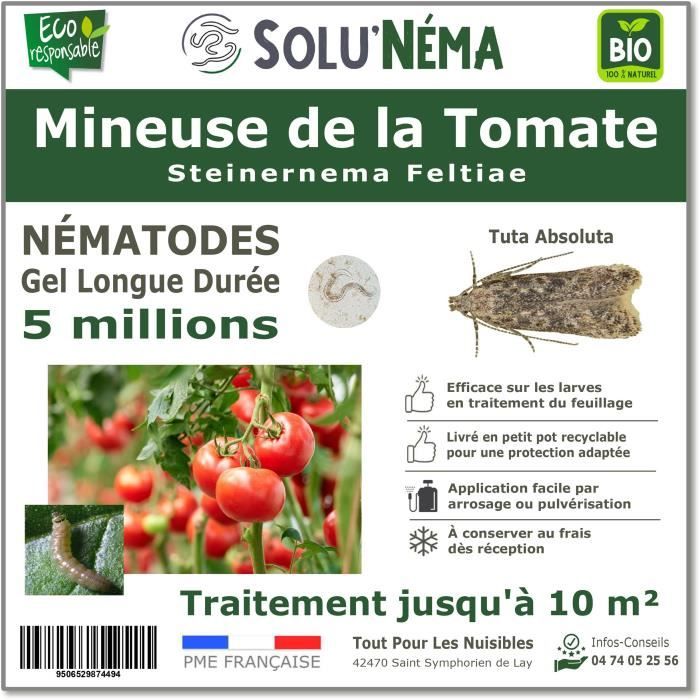 Nématodes, Traitement biologique, Steinernema Feltiae, mineuse de la tomate, 5 millions, traitement tuta absoluta